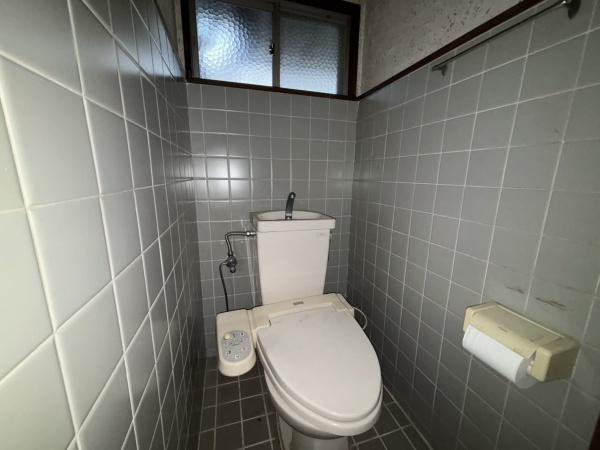 ���s�{���s�s�R�ȋ�l�m�{�����˂̒��È�ˌ��Ẵg�C��