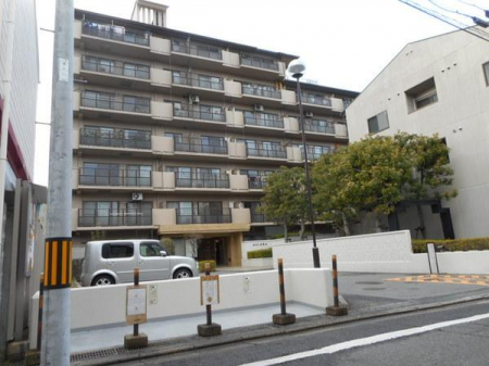 ̑n@nŜ̂ʐ^łylIR[|R705zSFc