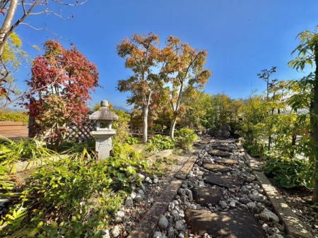 Z˂̒]ʐ^@n̒뉀łyOh]srʁzSFc