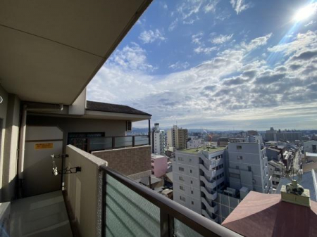 ���̑��@�o���R�j�[����̒��]�ł��y�f�B�I�E�t�F���e�B�k�쓌�z�S���F���c