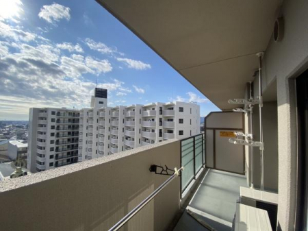 ���̑��@�o���R�j�[����̒��]�ł��y�f�B�I�E�t�F���e�B�k�쓌�z�S���F���c