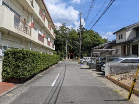 ���̑����n�@�y��{�k�R�m�O���z