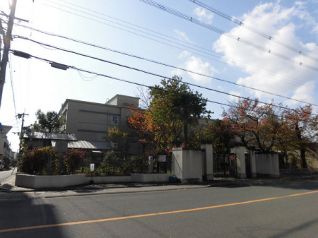 ���ӊ��@-