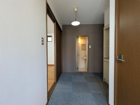 ���̑����ρ@�y���m�����w�@���z�S���F���c