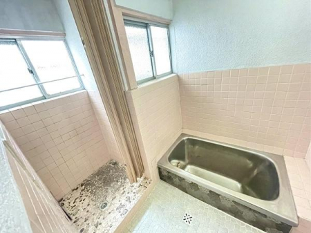 �����@�����ł��y�l�m�{�_�m�����z�S���F���X��