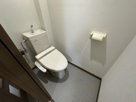 ���s�{���s�s������C�w�@�R�m�@���̒��È�ˌ��Ẵg�C��